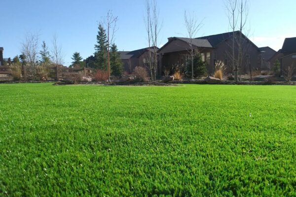 Artificial Grass for Homeowners
