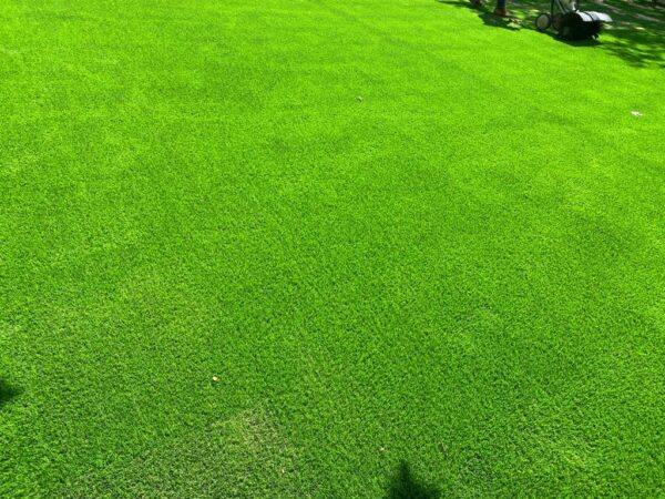 k92 artificial grass