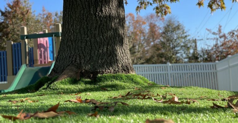 Artificial Grass Maintenance for Fall
