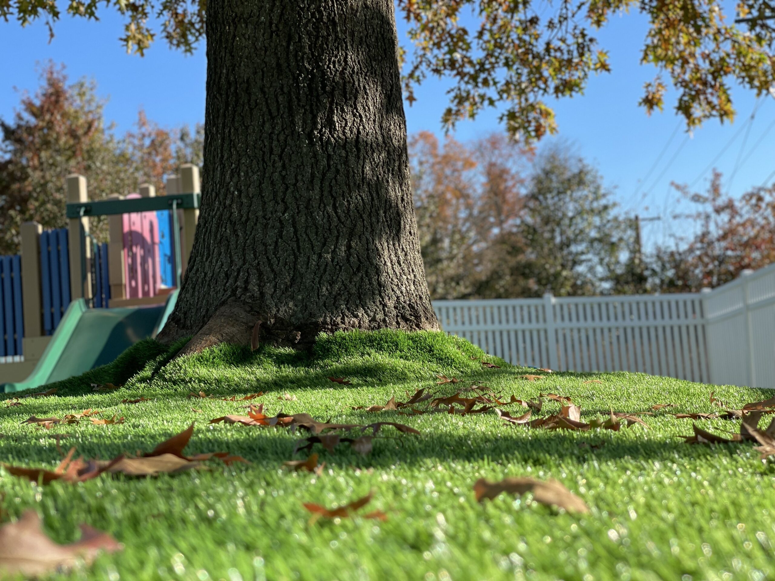 Artificial Grass Maintenance for Fall