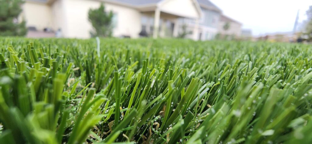 How to choose Artificial Grass for a lawn?