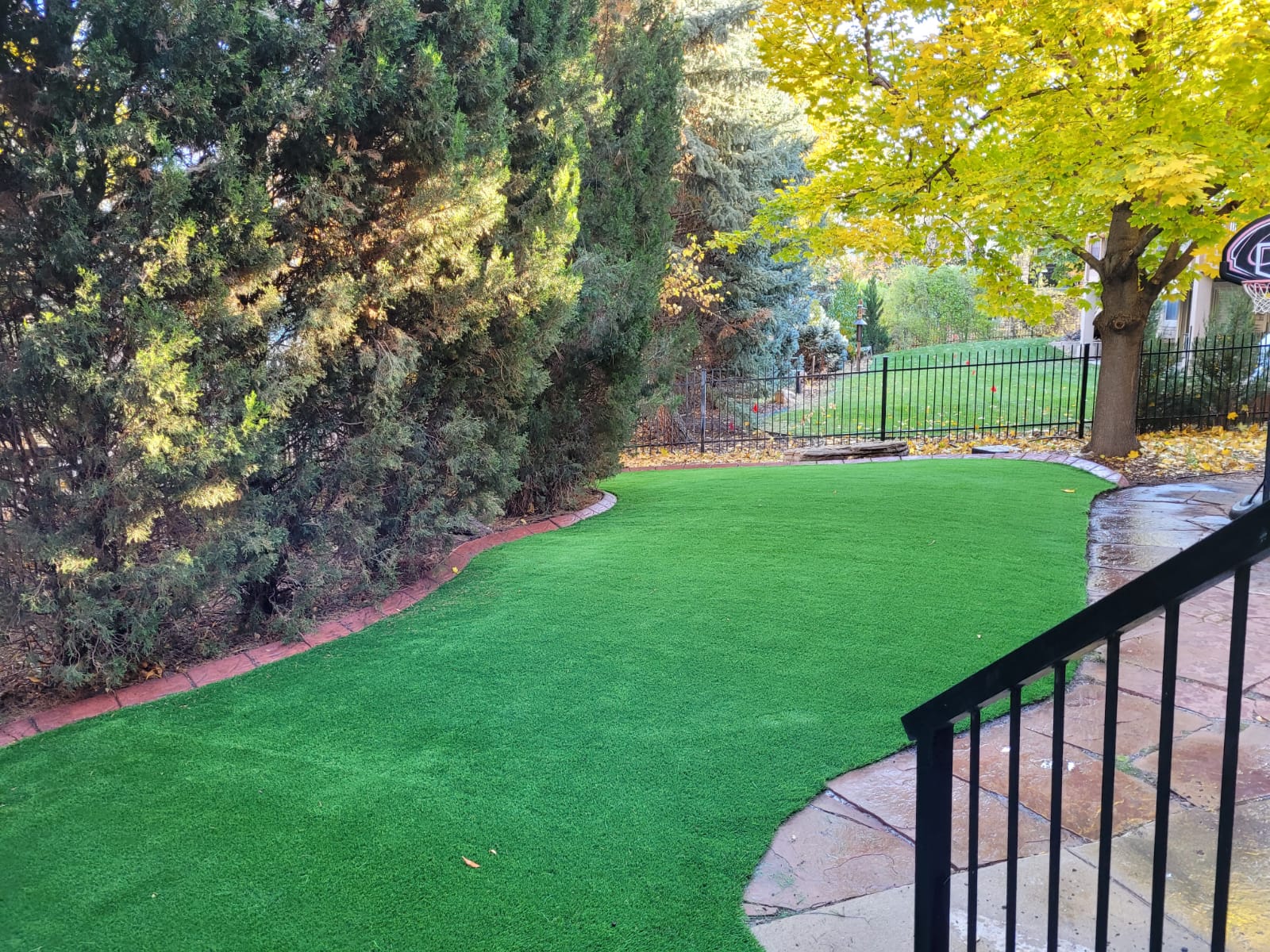 Things You Won’t Need After Installing Artificial Grass 