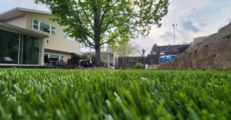 Why Artificial Turf Is Amazing for Homeowners